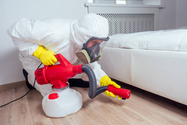 Best Pest Removal Services  in Vinton, TX